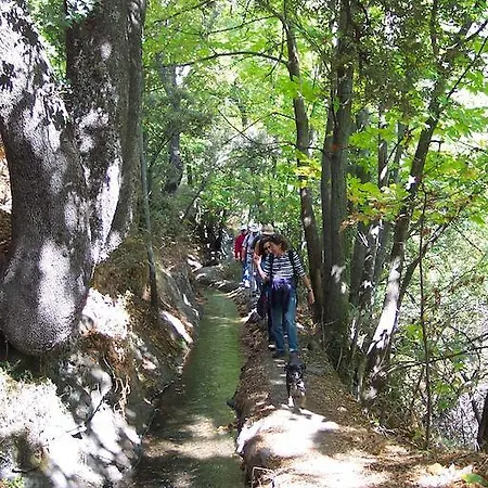 Apartamento Rural Mirador Del Avellano Alpujarra de la Sierra